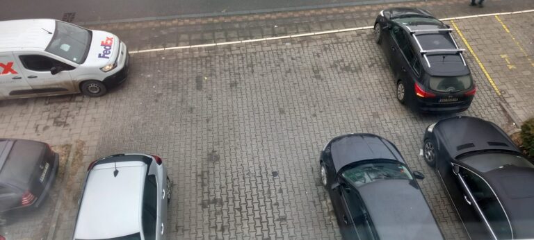GOVEDO NEOTESANO DOSLO U CIVILIZACIJU NI DA PARKIRA NEZNA M. MU JE scaled 1 768x346