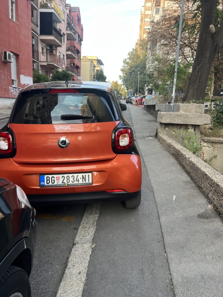 IMG 7885 768x1024