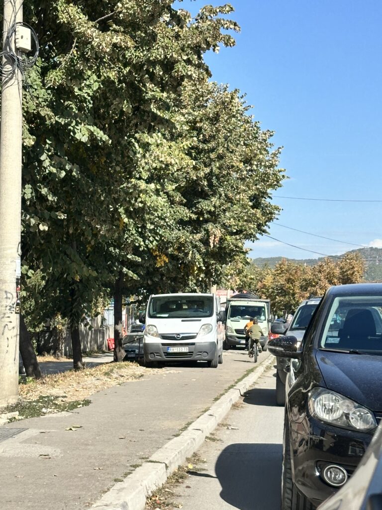 IMG 1249 768x1024