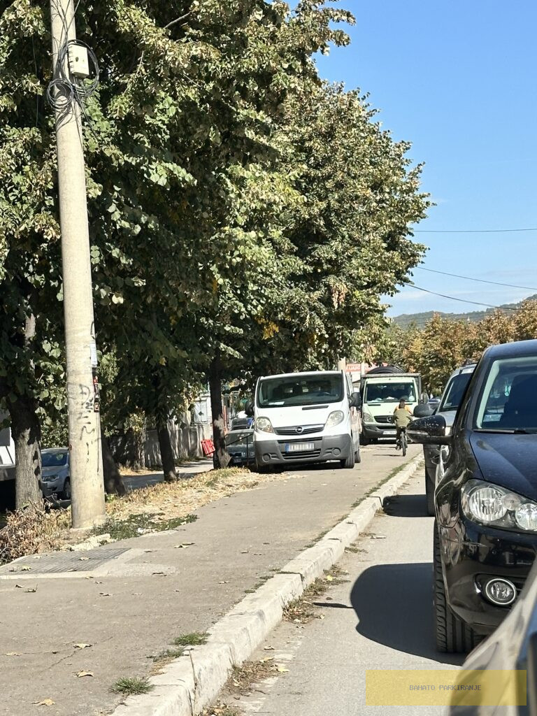 IMG 1250 768x1024