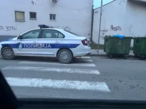 Loznica