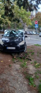 Institut za majku i dete, Novi Beograd